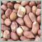 Coles Cole's Assorted Species Raw Peanuts Wild Bird Food 5 lb RP05 - alternate 2